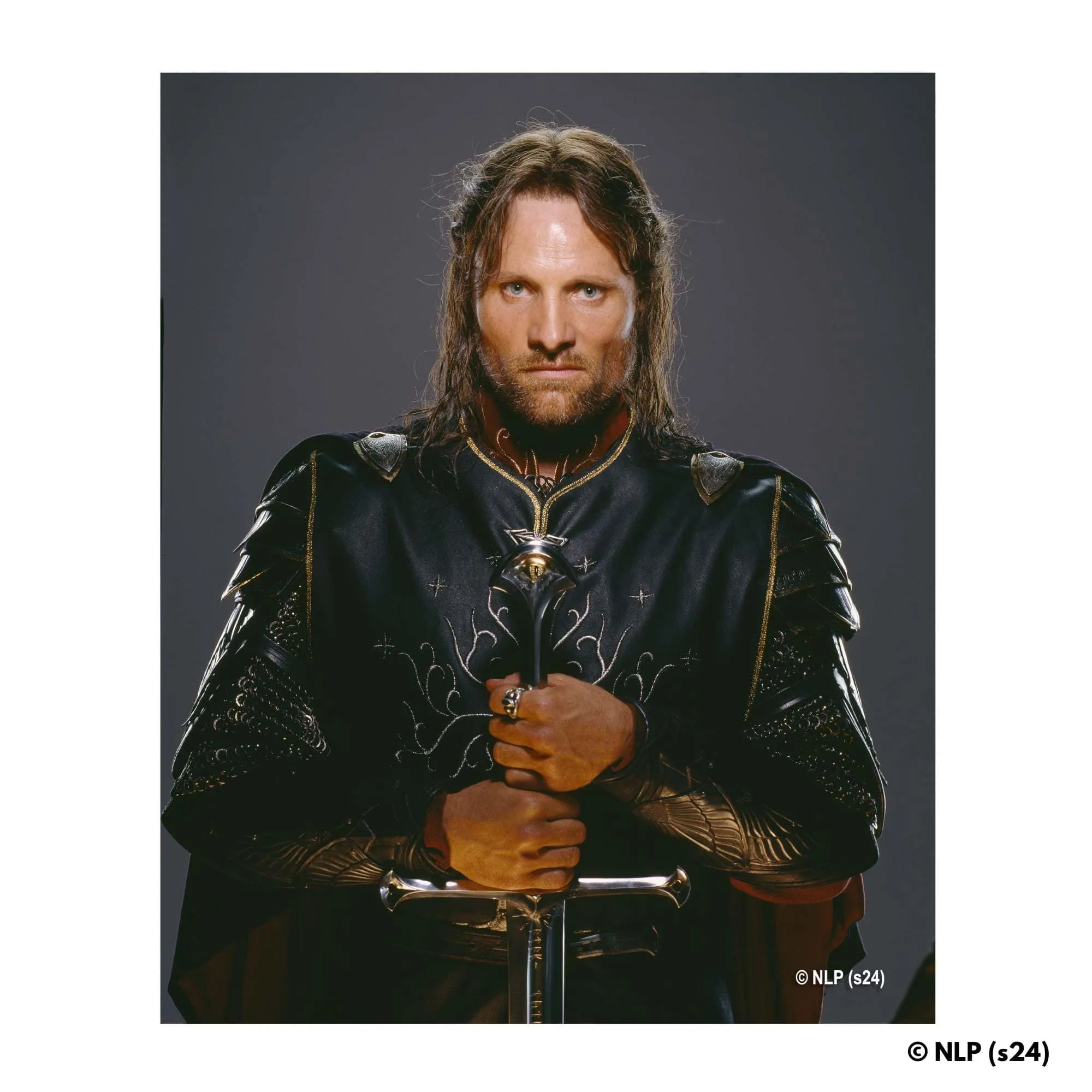 The Heir of Isildur - Wooden Jigsaw Puzzle